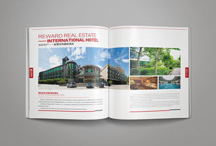 整合設(shè)計(jì)，塑造卓越企業(yè)形象——洛娃集團(tuán)畫冊設(shè)計(jì)與市場營銷策劃